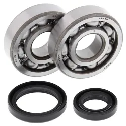 All Balls, Crank Shaft Bearing Kit