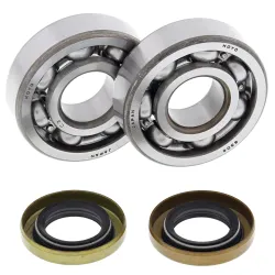 All Balls, Crank Shaft Bearing Kit