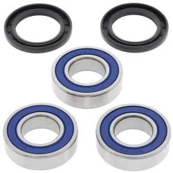 All Balls, Wheel Bearing Kit, REAR