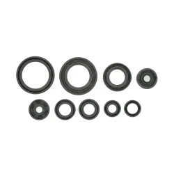 Holeshot, Engine Seal Kit