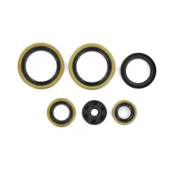 Holeshot, Engine Seal Kit