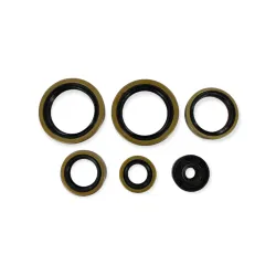 Holeshot, Engine Seal Kit